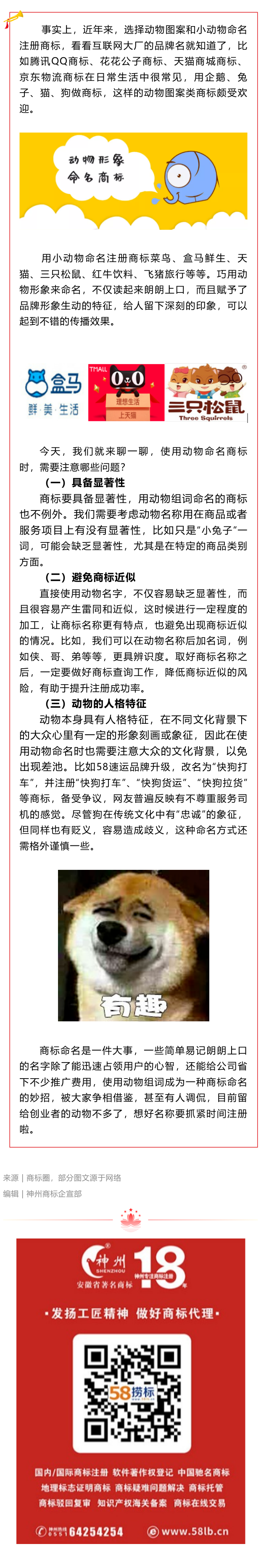 選擇小動物命名商標(biāo)，需要注意什么呢？